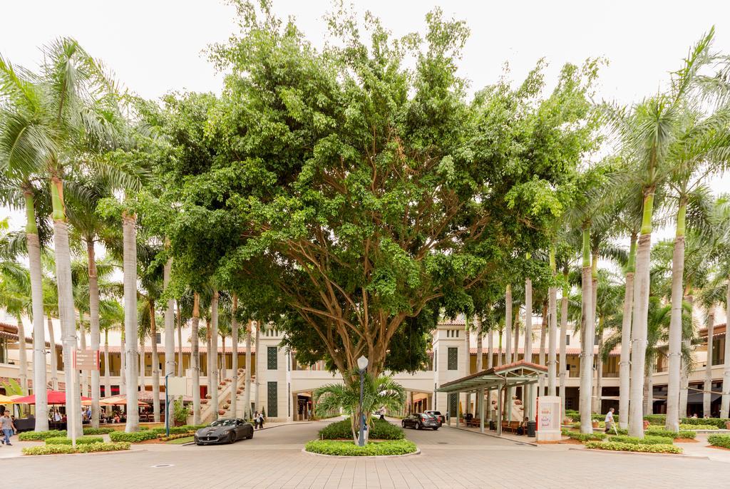 Pelicanstay In Coral Gables Miami Exterior foto